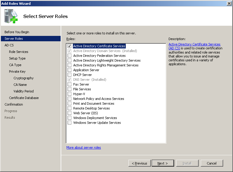 Active Directory Certificate Services - Select Server Roles